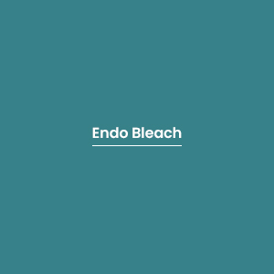 Endo Bleach